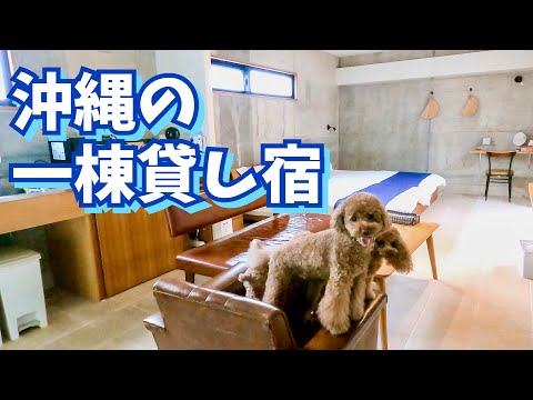 【沖縄旅行】愛犬と泊まった沖縄の一棟貸しのお宿が素敵すぎました！【トイプードル】