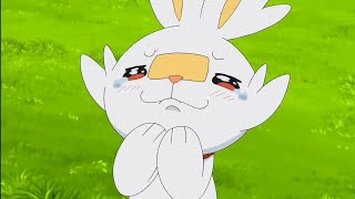 Scorbunny Cute Moment Part 1