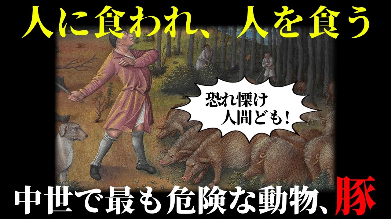 【ゆっくり解説】王も殺した危険な動物、中世の豚【歴史解説】