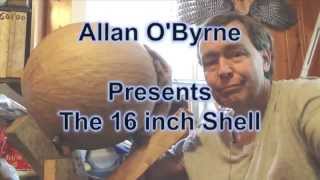 Allan 16 inch Shell