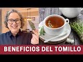 Los Beneficios Inesperados del Tomillo en Infusión | The Frugal Chef