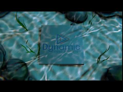 DNA INTRO DYNAMIC