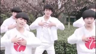 【TFBOYS】TF Gia Tộc Beautiful