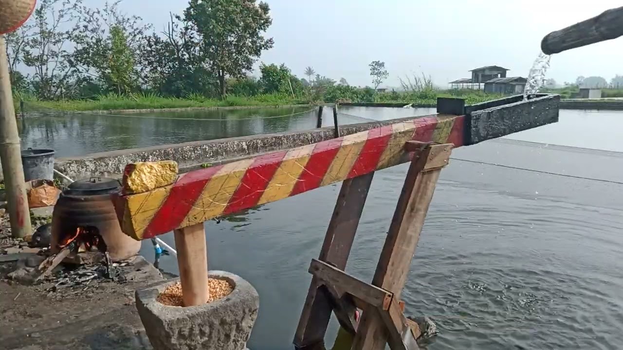 Lesung tradisional... 