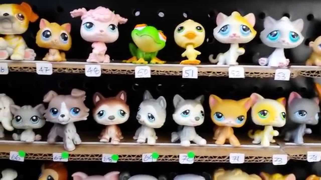 Amazing Littlest Pet Shop Collection 2004-2005 First Pets ...