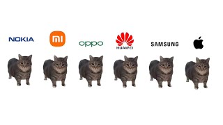 Download Lagu OIA cat meme x Phone Ringtone MP3 Download Lagu OIA cat meme x Phone Ringtone MP3