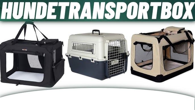 Aufbauvideo - Faltbare Transportbox & Katzen YouTube | Hunde | lionto für - TB100
