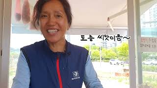 [인터뷰] 고민희 이음텃밭 활동가, 씨앗이음 활동, 스스로배우는자연농학교 활동, 인천도시농업네트워크 이사