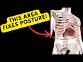 This Area Will FIX Your Posture! (and your whole body)