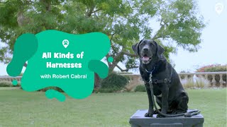 All Kinds of Harnesses