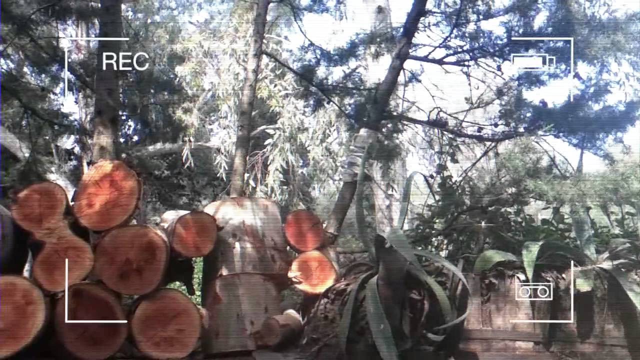 DuVlogging At The Salvador Dali House Museum in Spain [HD]