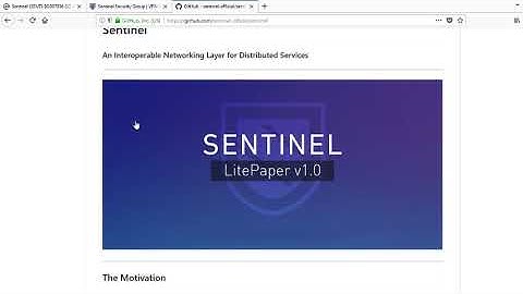 Random Crypto - Sentinel Coin