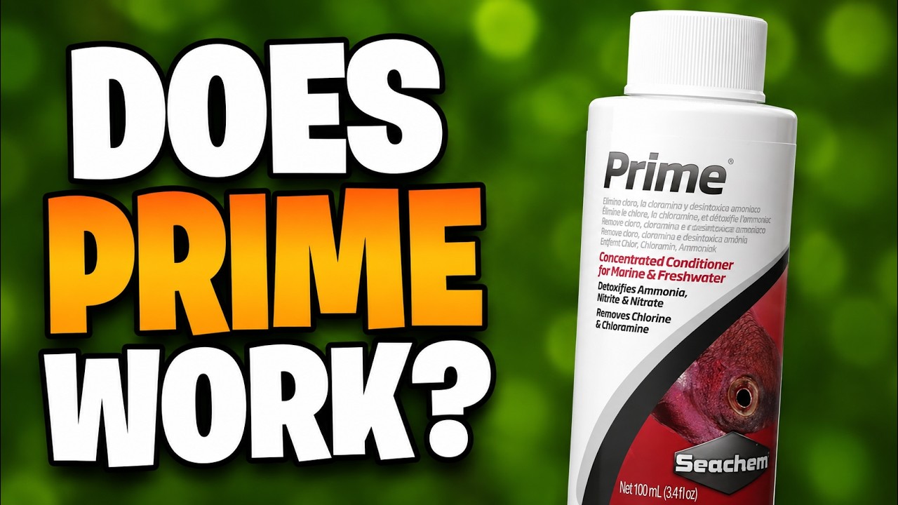 Does Seachem Prime Actually Detoxify Ammonia?