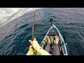 Black Marlin Fishing from Kayaks -- Australia Ep 5 | Field Trips with Robert Field