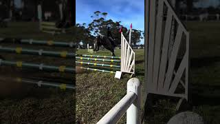 Our first show together #newhorse#youngthoroughbred#equestrian#showjumping#fyp
