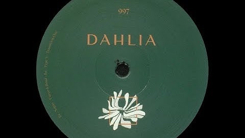 Type X - Transition One