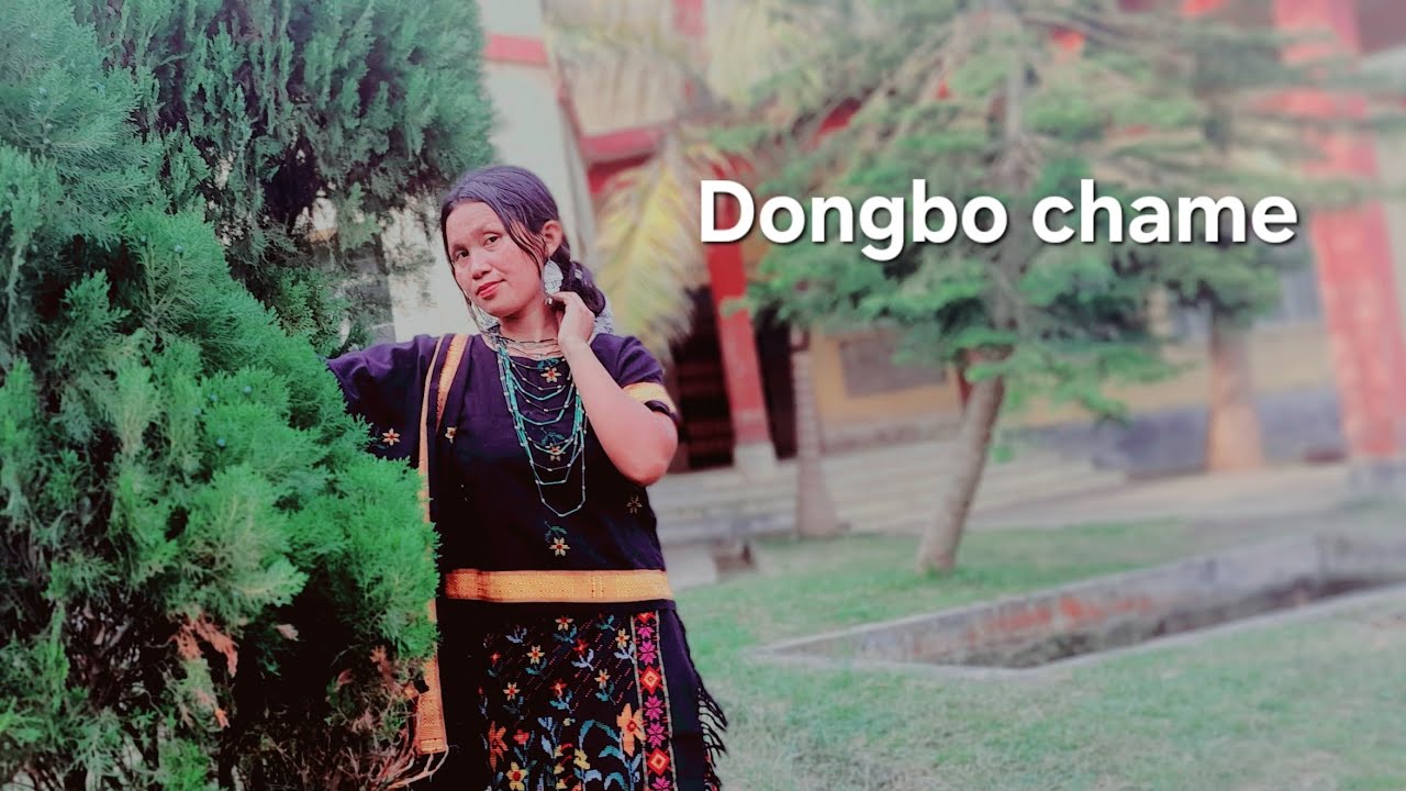 Dongbo chame Cover dance