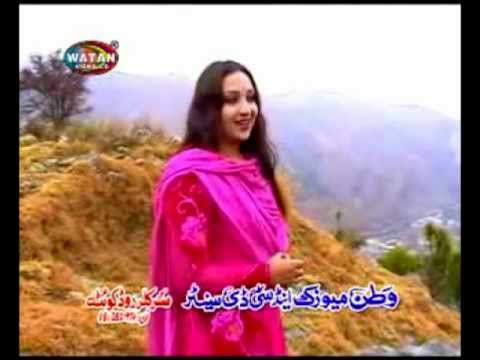 Tere Shehr Vichon Assi Tor Jawange Kade Kade Todan Bahon Yaad Awange - Afshan Zebi