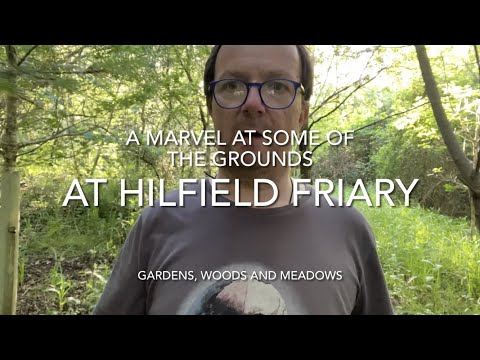 Marvel at the grounds at Hilfield Friary