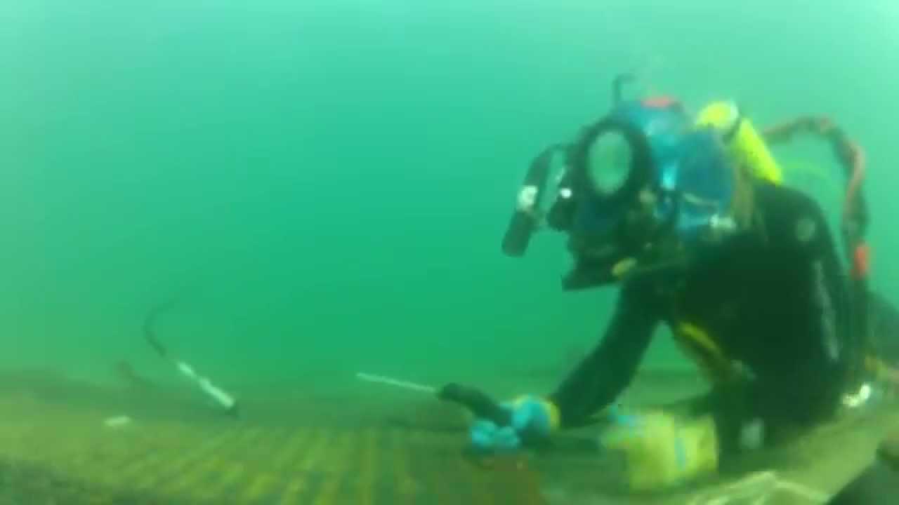 Average Underwater Welding Salary Futureofworking Com