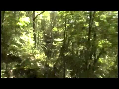 20110711-143114_YouTube_11