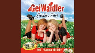 I brauch an Boarischen - Geiwaidler