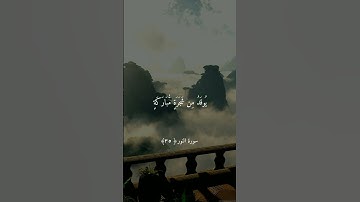 اللَّهُ نُورُ السَّمَاوَاتِ وَالْأَرْضِ || تلاوة خاشعة بصوت | ماهر المعيقلي ارح قلبك