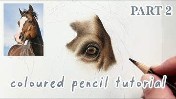 How to Draw a Horse in Coloured Pencils | Realistic Drawing Tutorial Full Series | Part 2