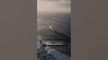لا تحزن ان الله معنا / سورة التوبة / القارئ : عبدالرحمن مسعد .