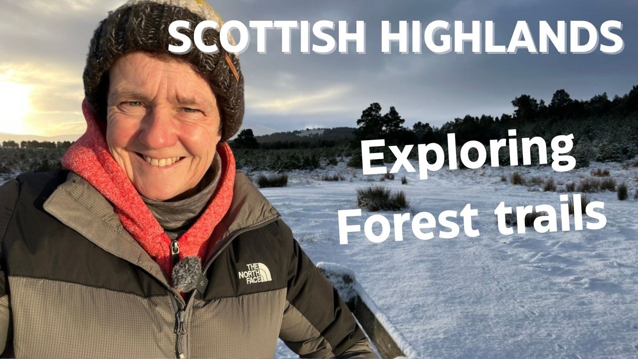 Зимние прогулки по высокогорью — исследование заснеженных лесных троп, позволяющих совершать пеши...