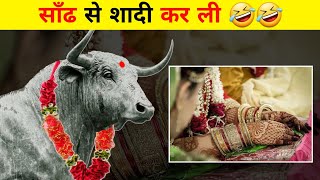 सांड से शादी करेगी ?|  marry a bull | Random Facts | Ak fact galaxy