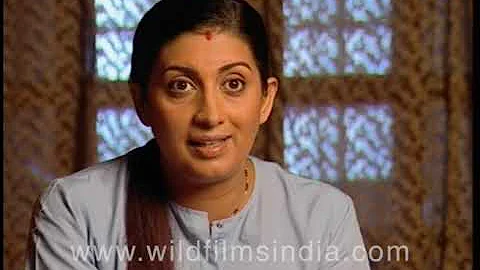 Smriti Zubin Irani in her actress avatar, on the s...