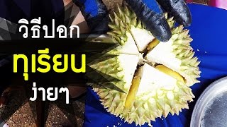 Easy way to peel durian. Just use only one knife you can do by yourself. [EN Subtitle]