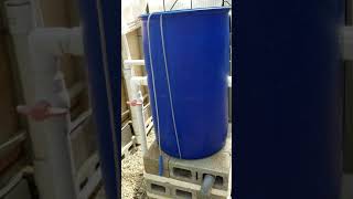 Mineralisation Tank Use Training   Aquaponics