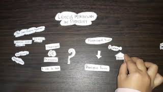 FINAL EXAMINATION OF MORPHOLOGY | LEXICAL MORPHOLOGY AND PHONOLOGY