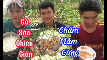 Ra đồng giăng lưới làm bữa cơm chiều cùng Tứ đệ channel