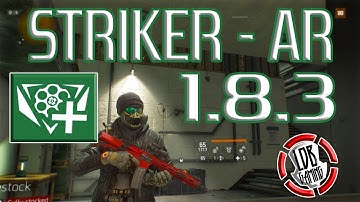 THE DIVISION / STRIKER / PVP AR / 1.8.3