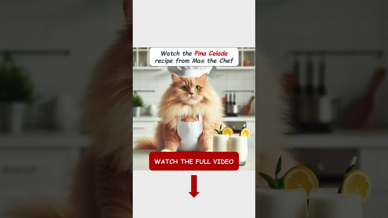 🍹 How To Make Pina Colada 🐱 The Recipe By Max the Ginger Cat 🐾
