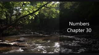 The Book of Numbers Chapter 30 - New King James Version (NKJV) - Audio Bible