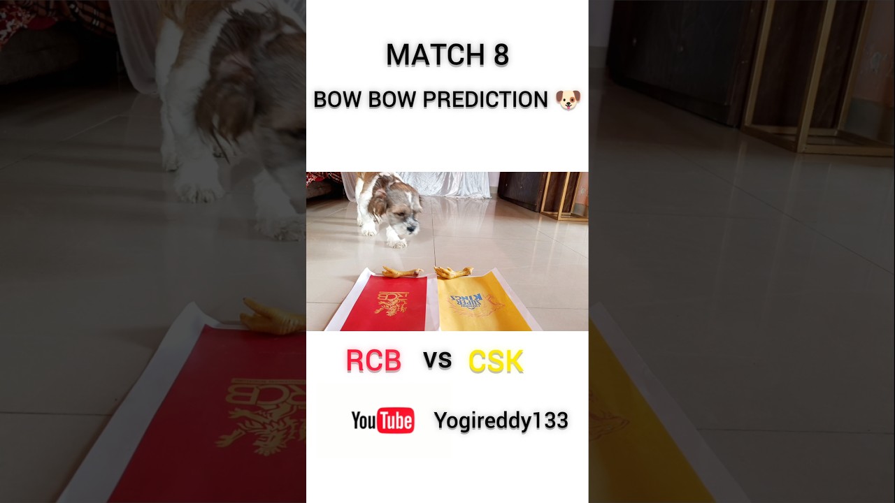 CSK vs RCB PREDICTION 😳💛❤️ | RCB vs CSK | 