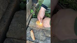 やってみた!ファットウッドにファイアースターターで着火 #camping #campfire #ソロキャンプ #bushcraft #shorts