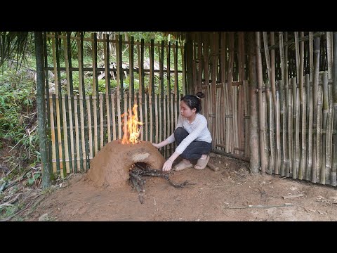 Heavy Rain Living Alone In The Forest Girl Builds A Bamboo House Stove With Stone And Earth 