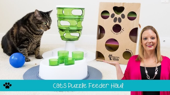Welcome! - Food Puzzles for Cats