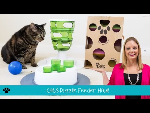Video: Interactieve feeders en speelgoed dat Cats Love
