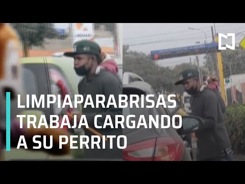 Limpiaparabrisas trabaja con todo y perrito - Expreso de la Mañana