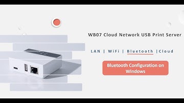 LOYALTY SECU Bluetooth Cloud Print Server Bluetooth Printing Setting Guide on Windows
