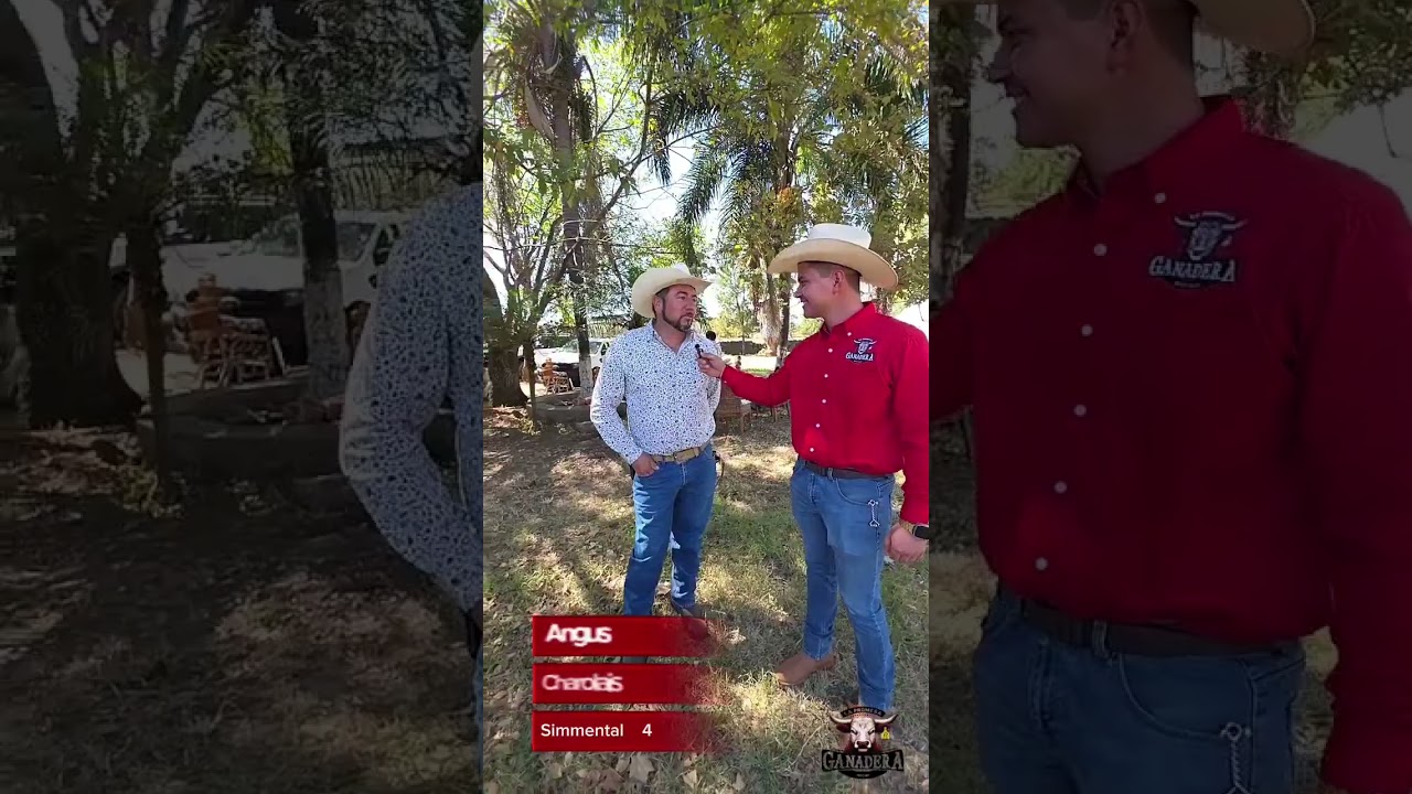 ANGUS, CHAROLAIS Ó SIMMENTAL CUÁL ES LA RAZA FAVORITA en CAMPO Y CONOCIMIENTO con RANCHO LA JOYA 