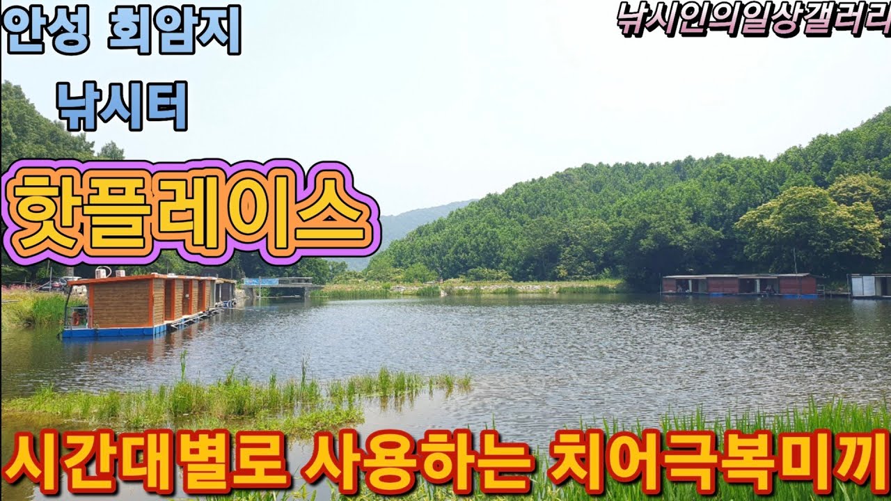 시간대별로 사용하는 치어극복미끼(회암낚시터)