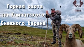 Горная охота на Камчатского Снежного Барана. Mountain hunting for the Kamchatka Snow Sheep