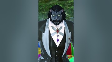 The FFXIV Roleplayer! #ff14 #ffxiv #shorts